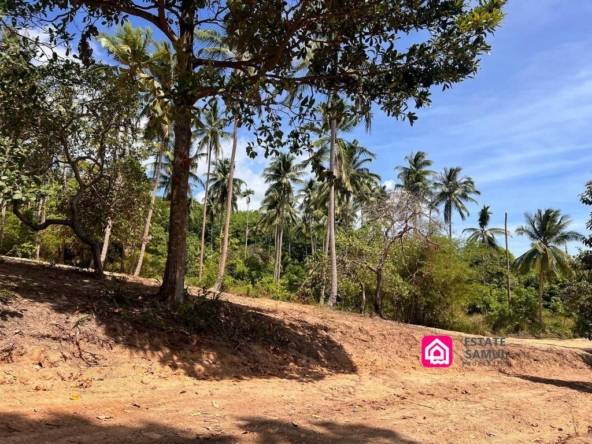 Expansive Maenam Land For Sale