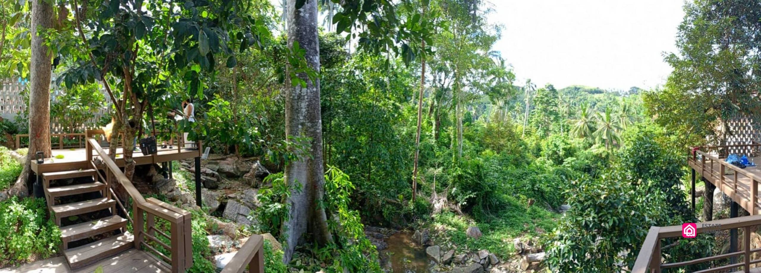 Lamai Creek Side Villas