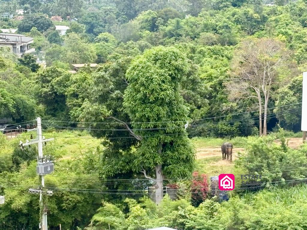 Spacious Bophut View Villa