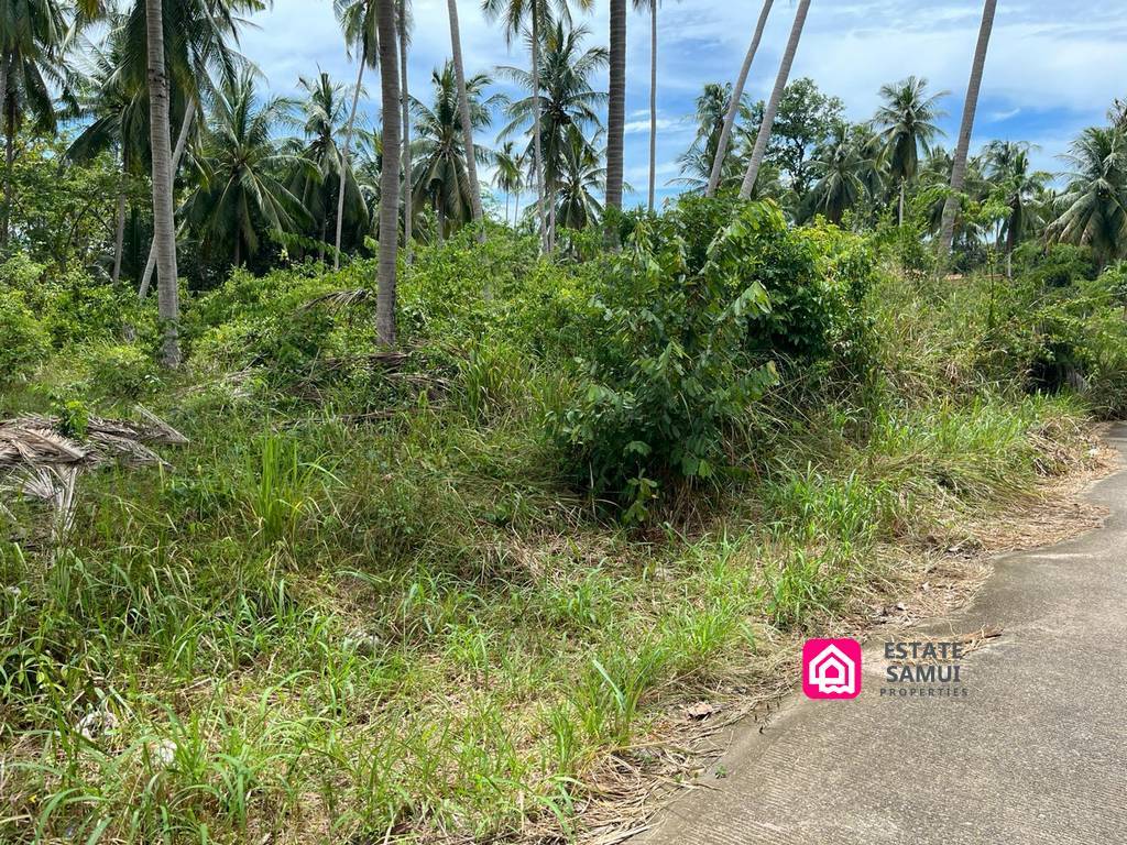 Large Thong Krut Land