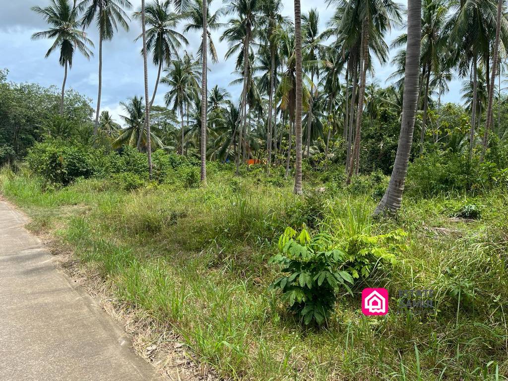 Large Thong Krut Land