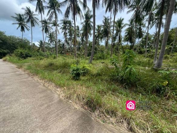 Large Thong Krut Land