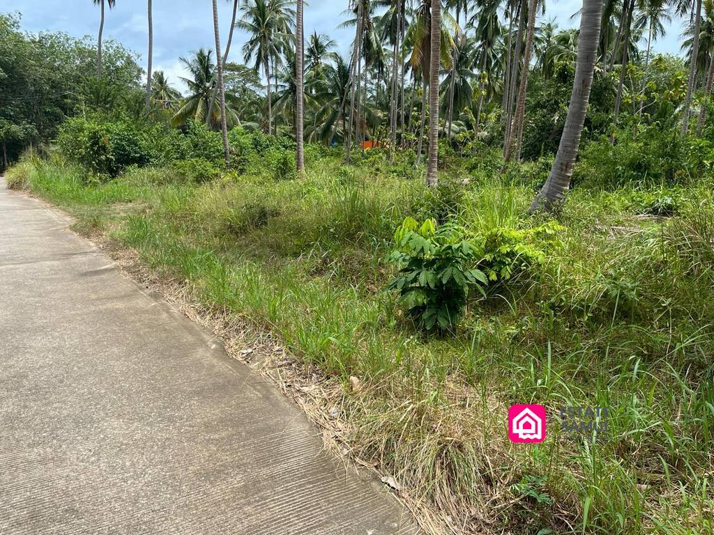 Large Thong Krut Land