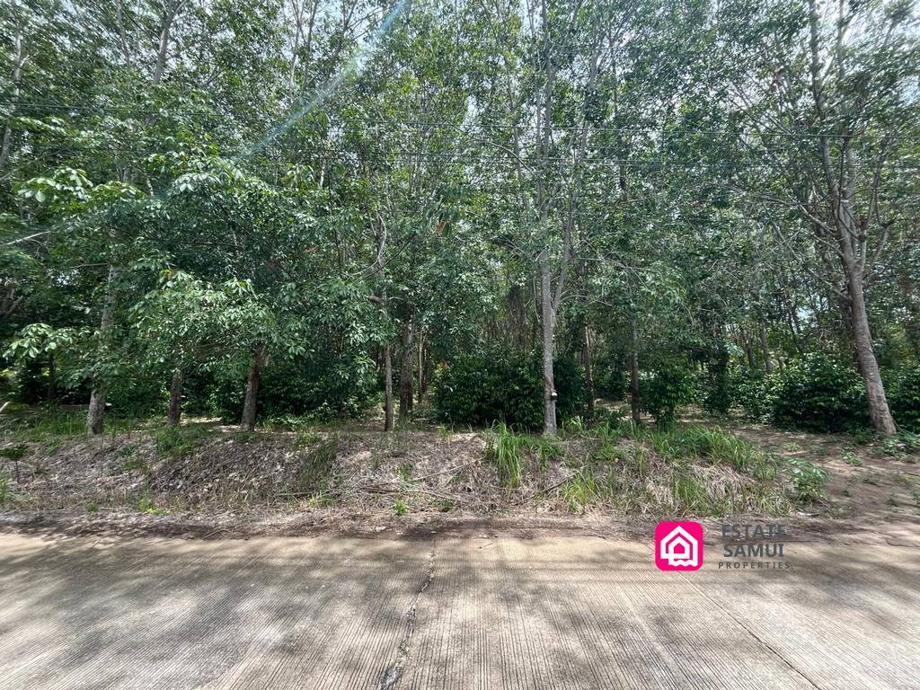 Spacious Thong Krut Land