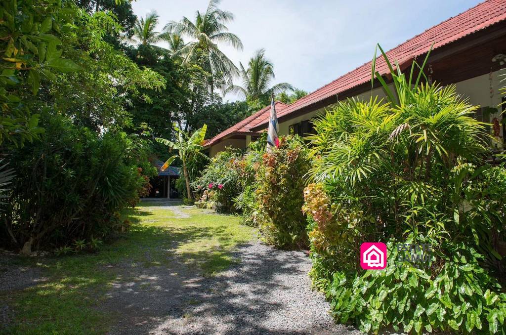 Large Lamai Land Plot