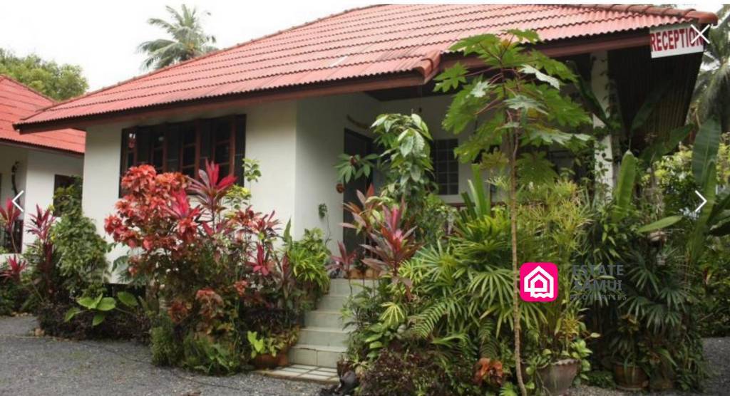 Large Lamai Land Plot