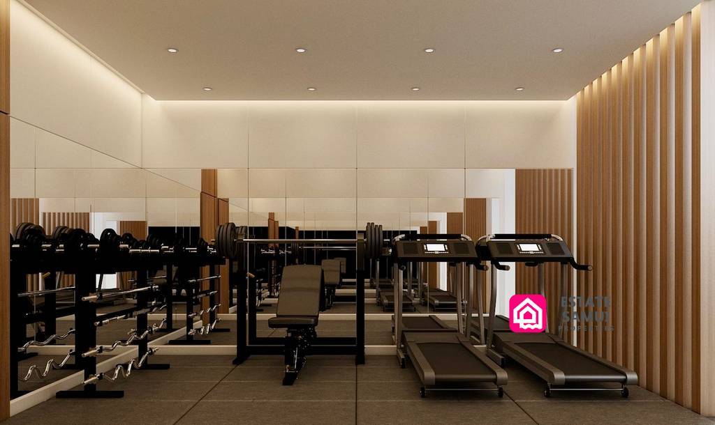 Luxury Bang Makham Villas