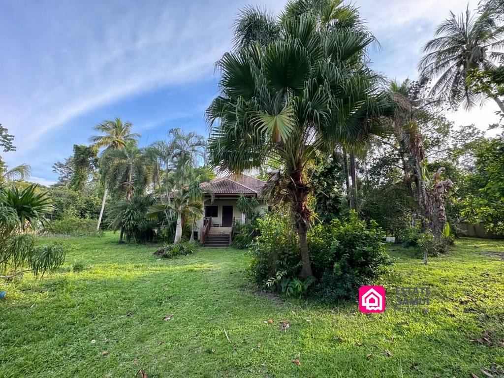 Large Land Plot with House