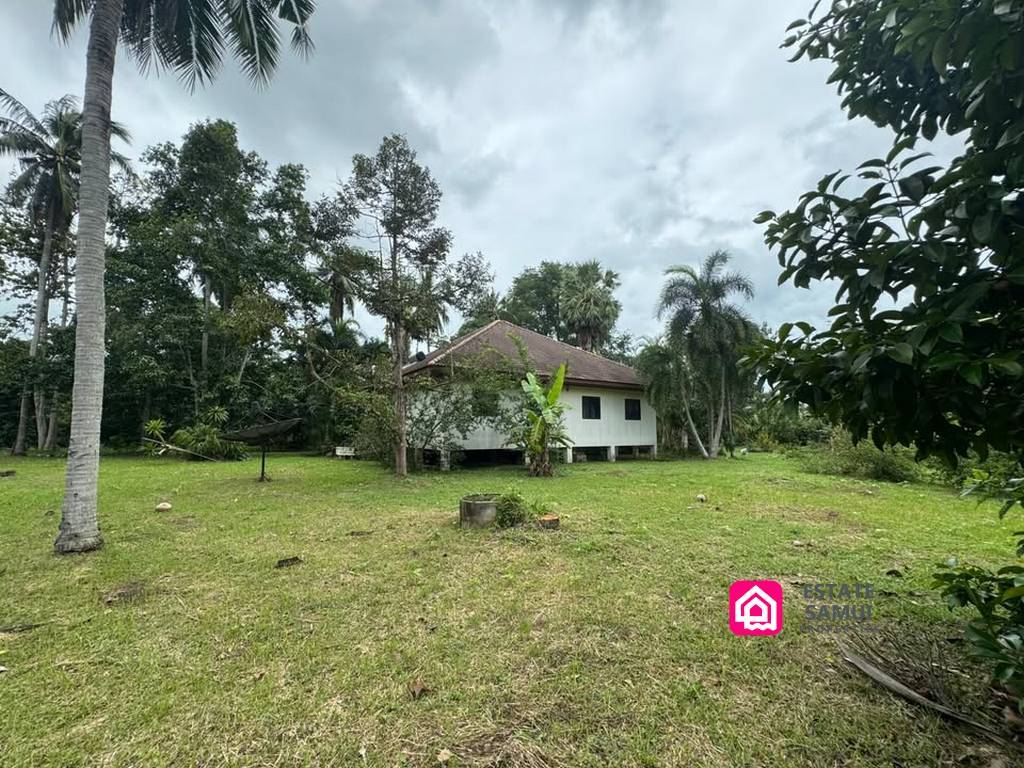 Large Land Plot with House