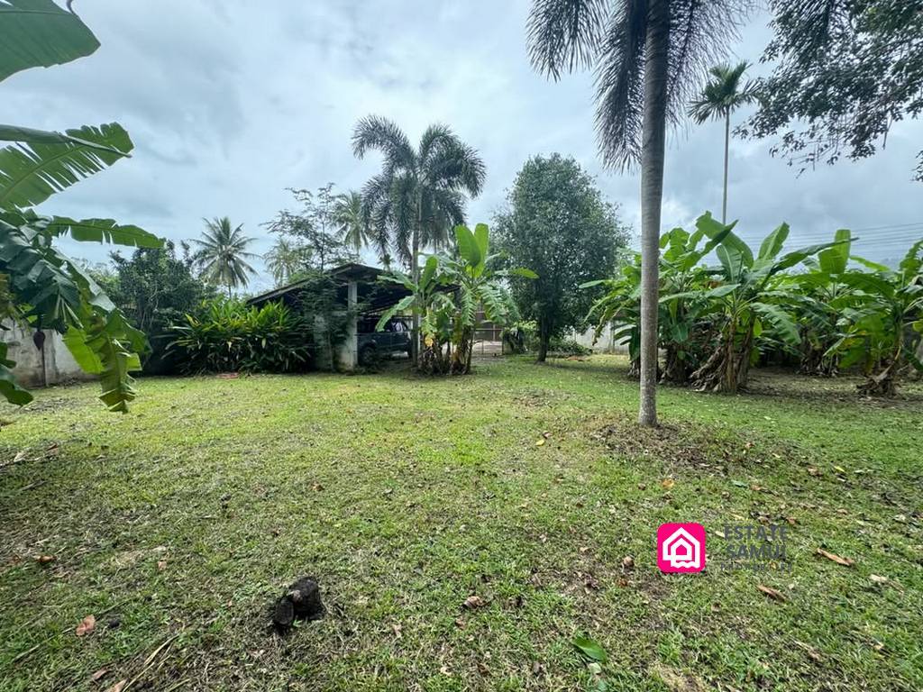 Large Land Plot with House