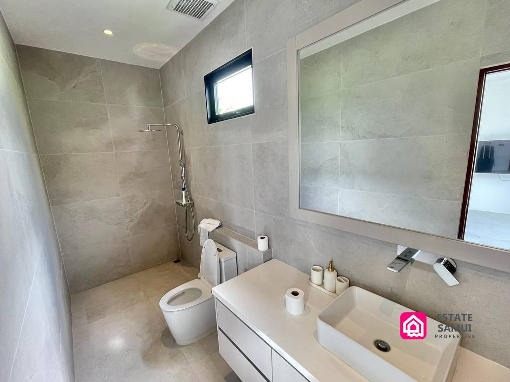 Bathroom with walk-in shower and wide white vanity