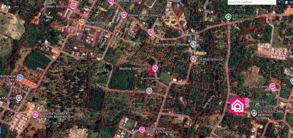 coconut land plot for sale