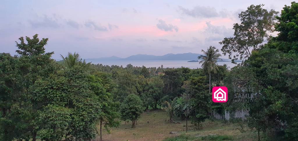 Spacious Bangrak Villa