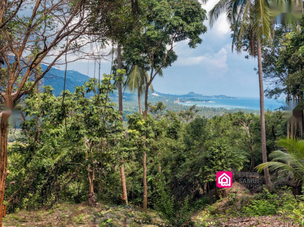 Santikhiri Sea View Land