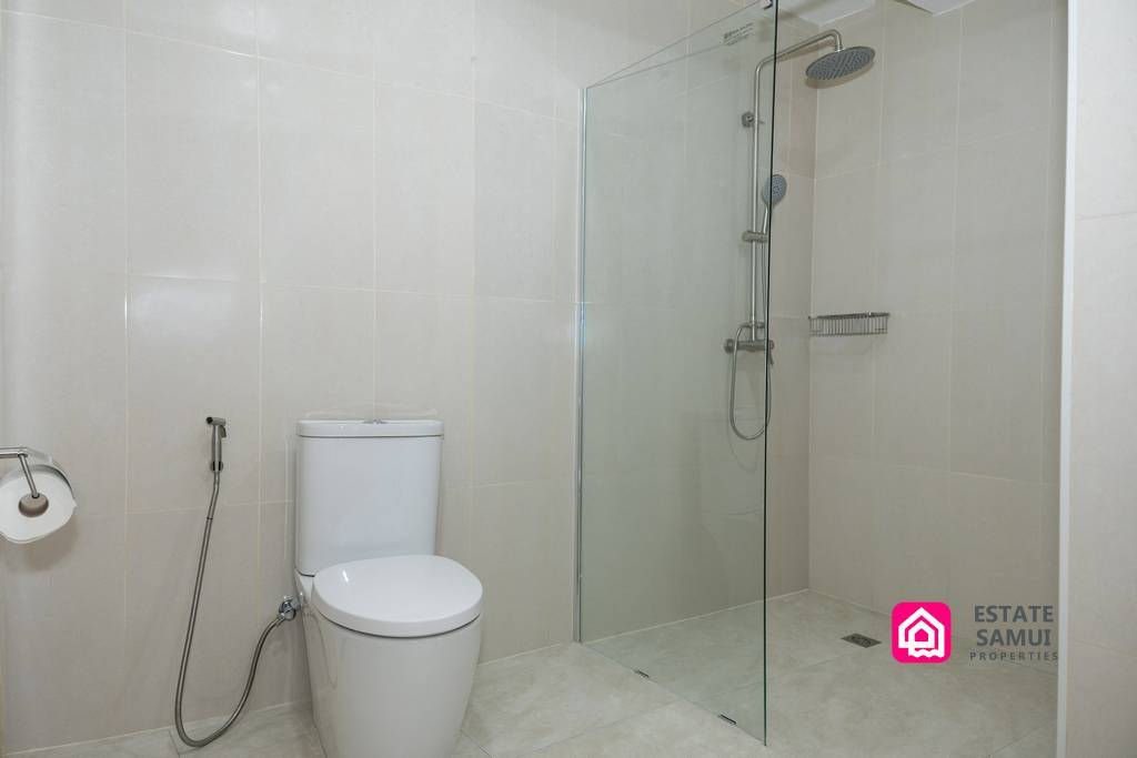 Bathroom with walk-in shower, rainfall showerhead and toilet