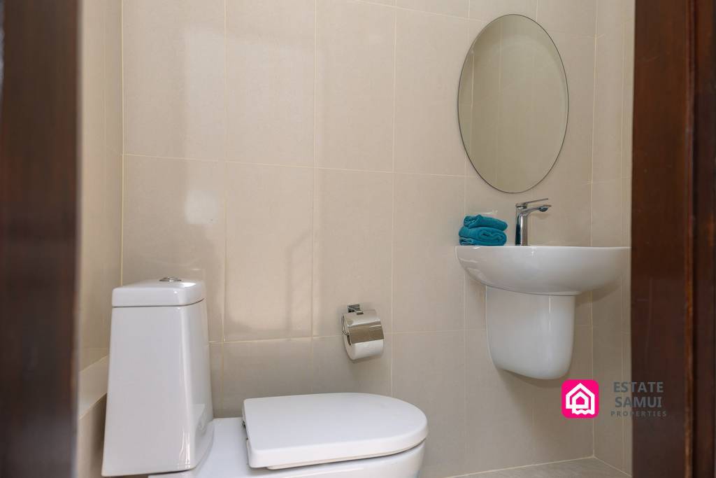 Compact guest WC with pedestal basin and round mirror