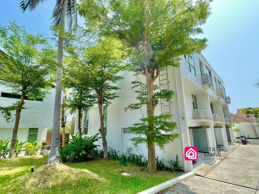 Direct Freehold Townhouse
