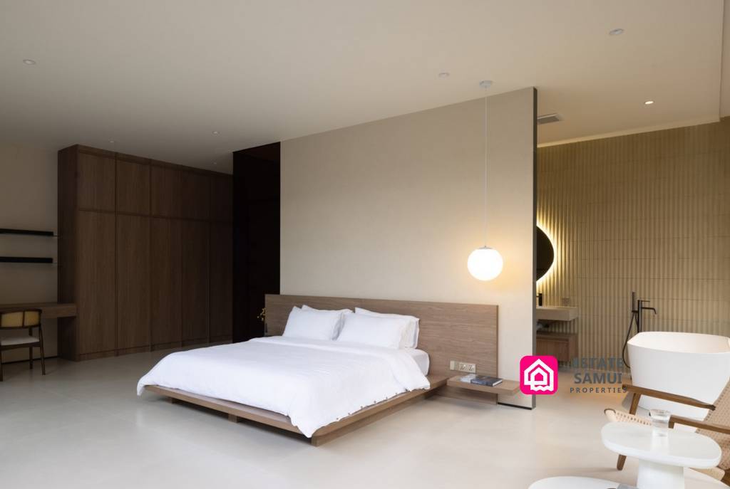 Modern Minimal Style Villa