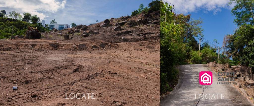 Cleared sloping land beside concrete hillside access road