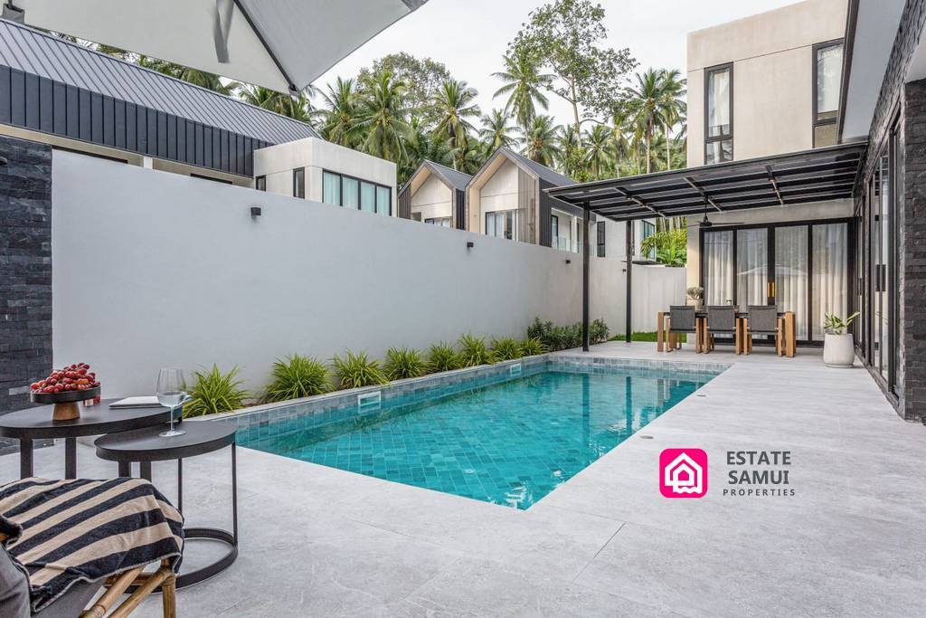 Modern Designer Pool Villa