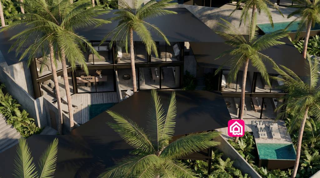 Aerial view of modern villas surrounded by palm trees