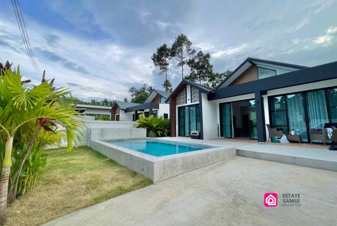Private pool, lawn and palm planting outside the contemporary villa.