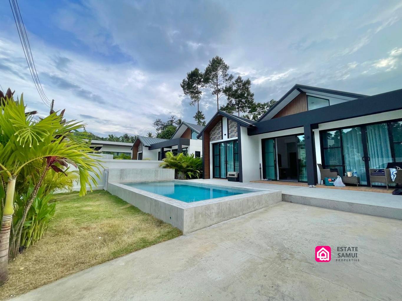 Private pool, lawn and palm planting outside the contemporary villa.