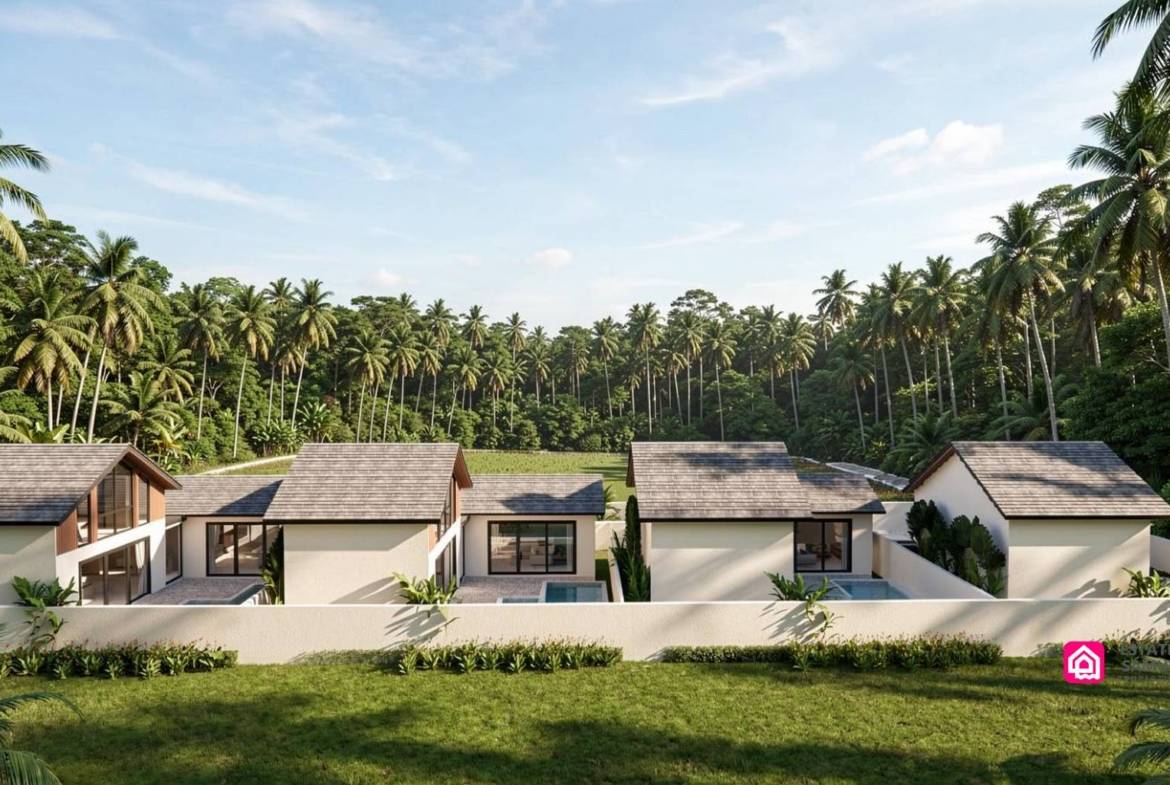 Elevated view of villas with private pools amid surrounding palm trees.